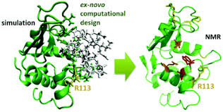 TB peptide inhibitor research